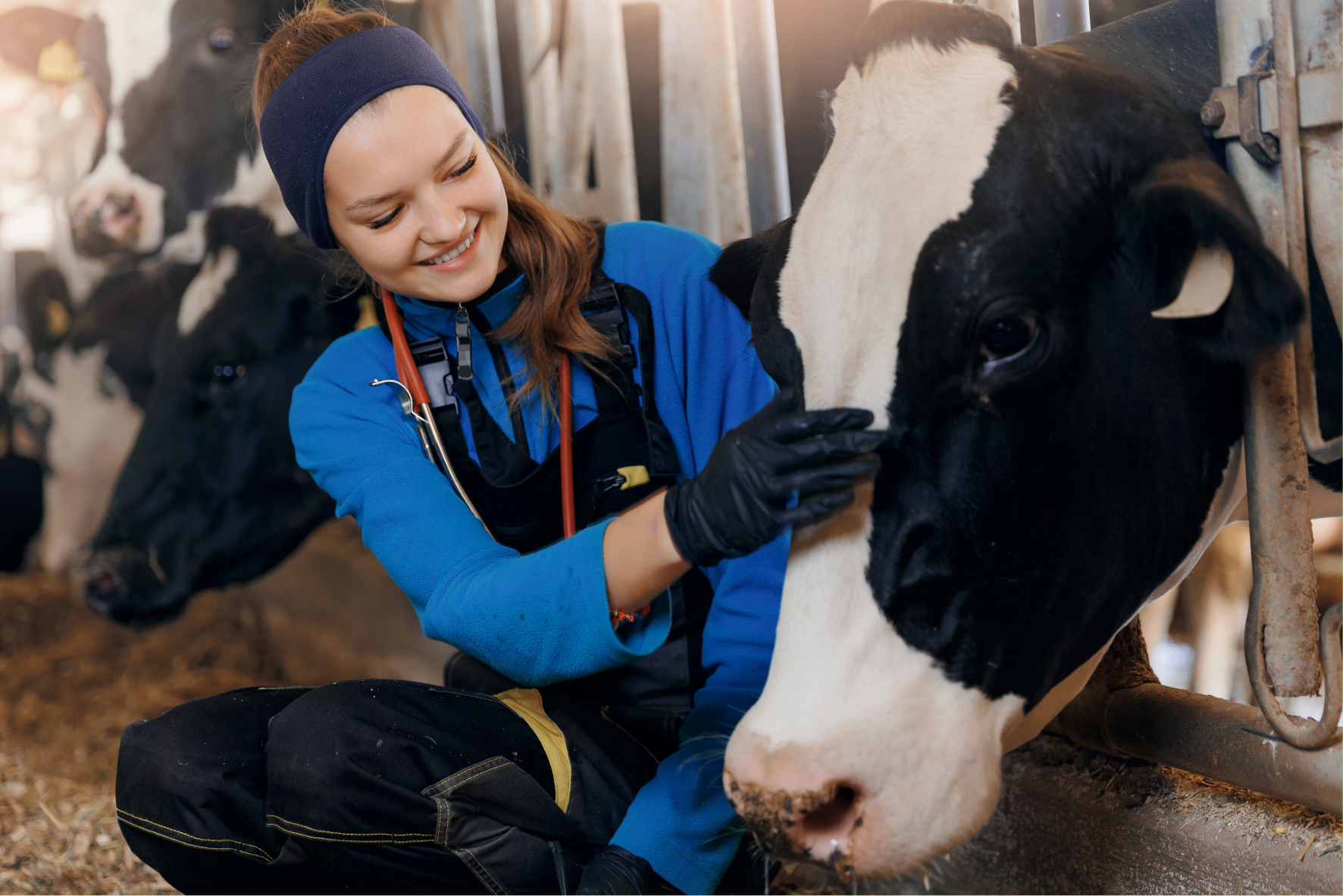 General Farm Worker Apprenticeship Level 2 Homepage