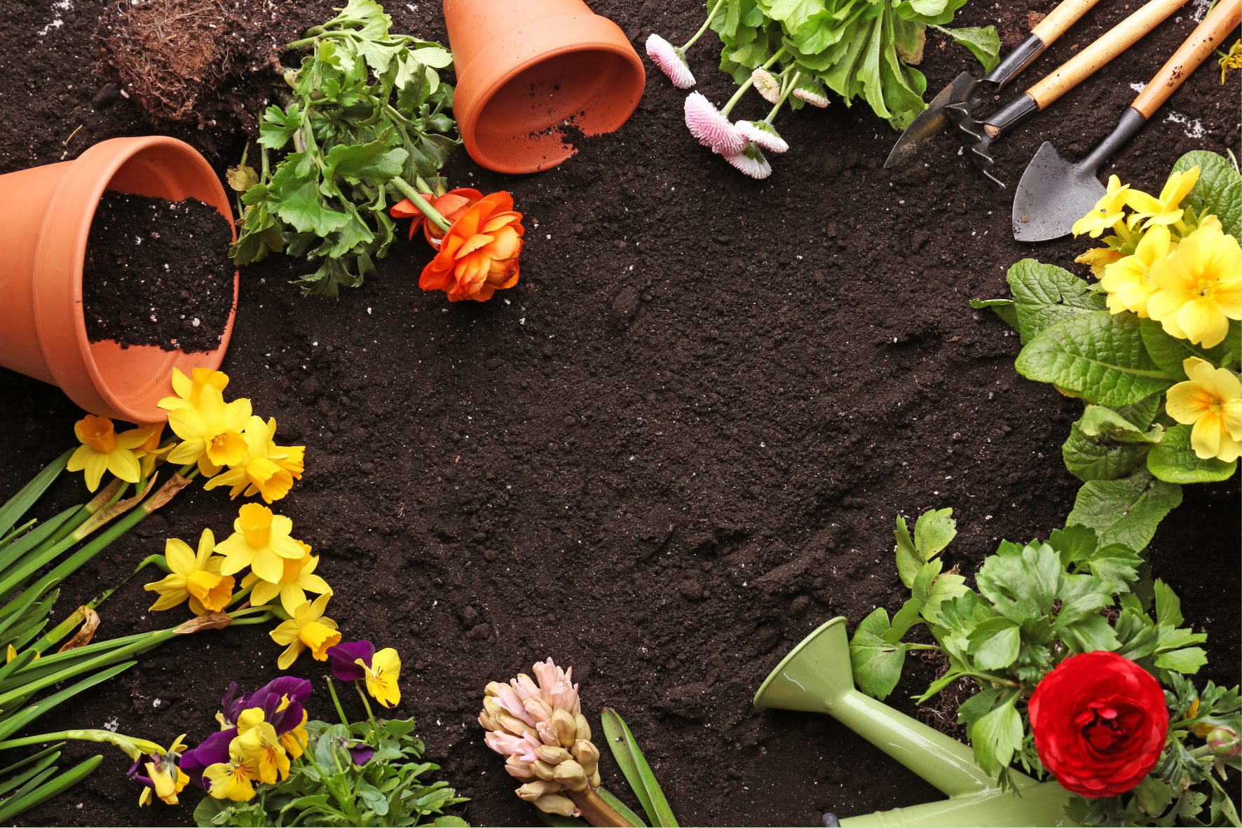 Horticulture & Landscape Supervisor Apprenticeship Homepage