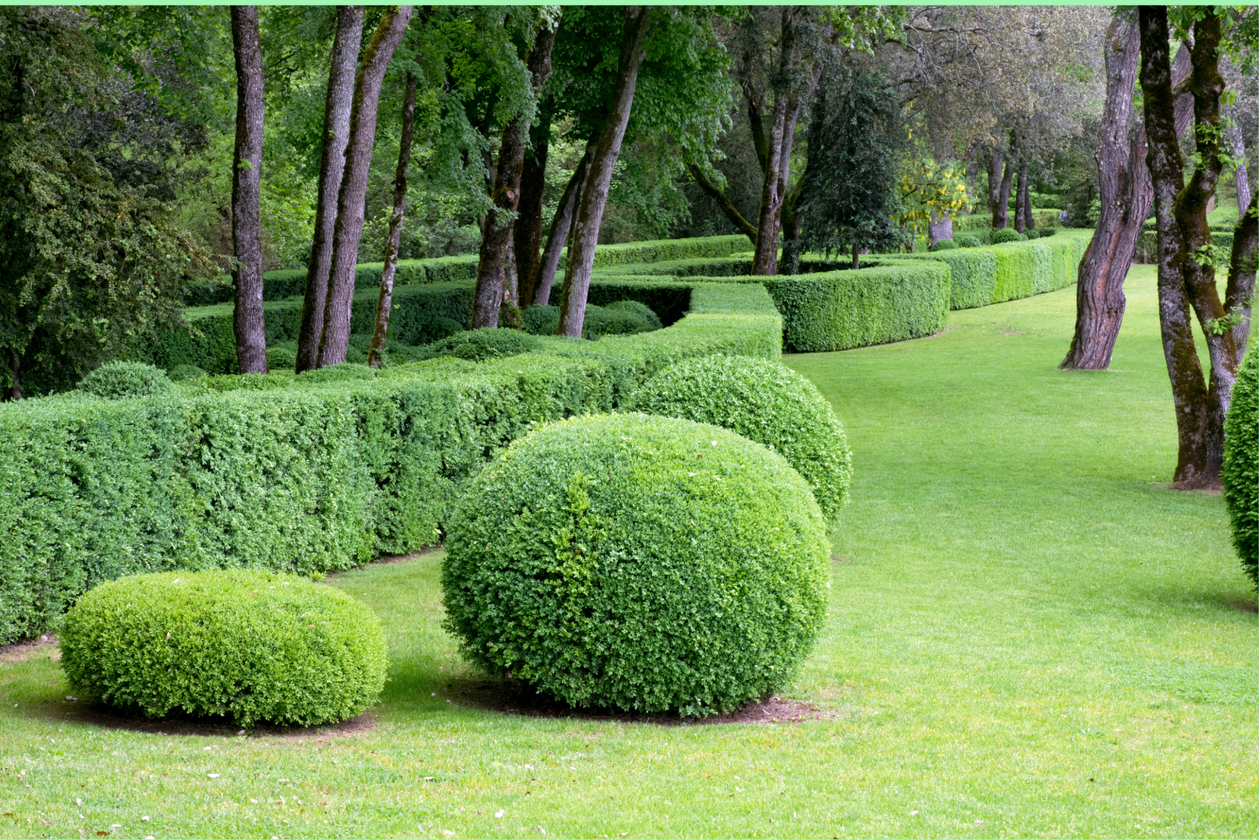 Professional Landscape and Sustainability Operative (Horticulture) Level 2 Homepage