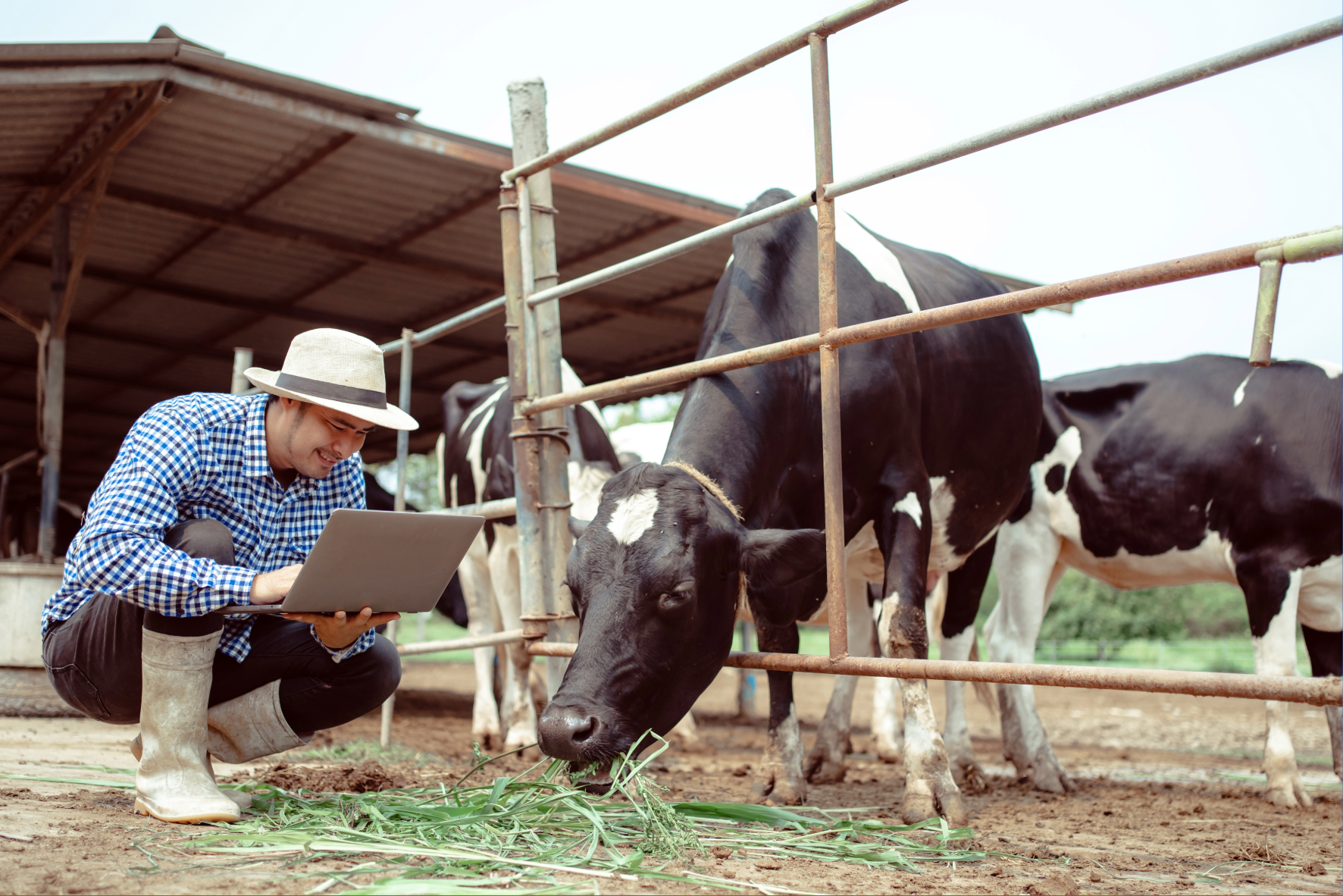 Unit 229 Working in the Animal Care Industry Homepage