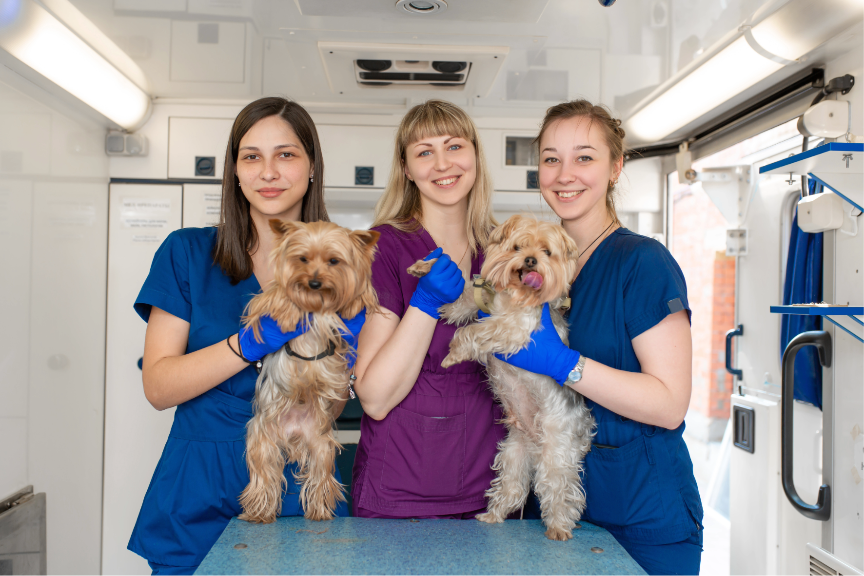 Essential Veterinary Nurse Skills