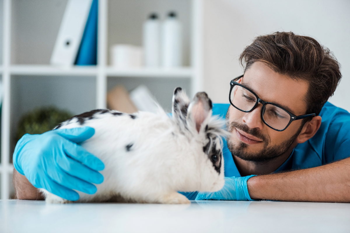 An Introduction to Animal Behaviour