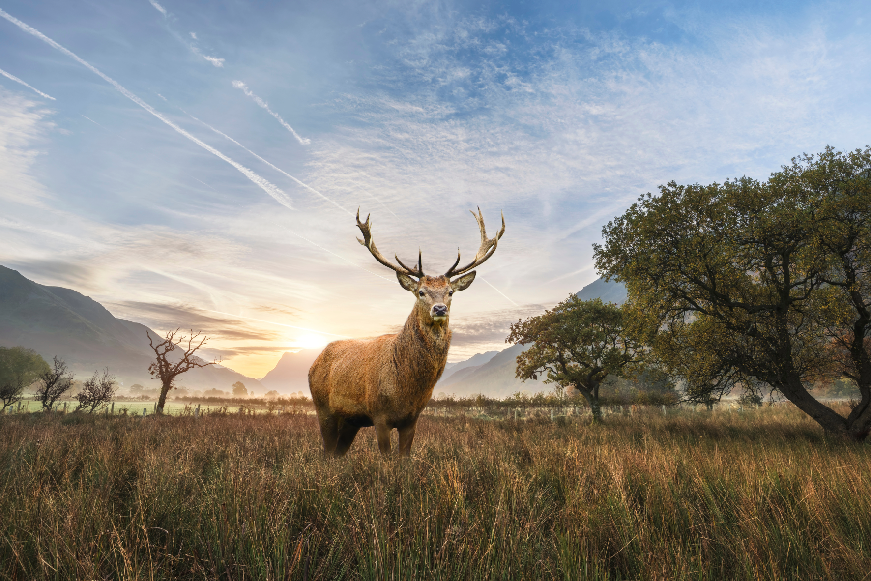 Unit 222 Introduction to wildlife and conservation