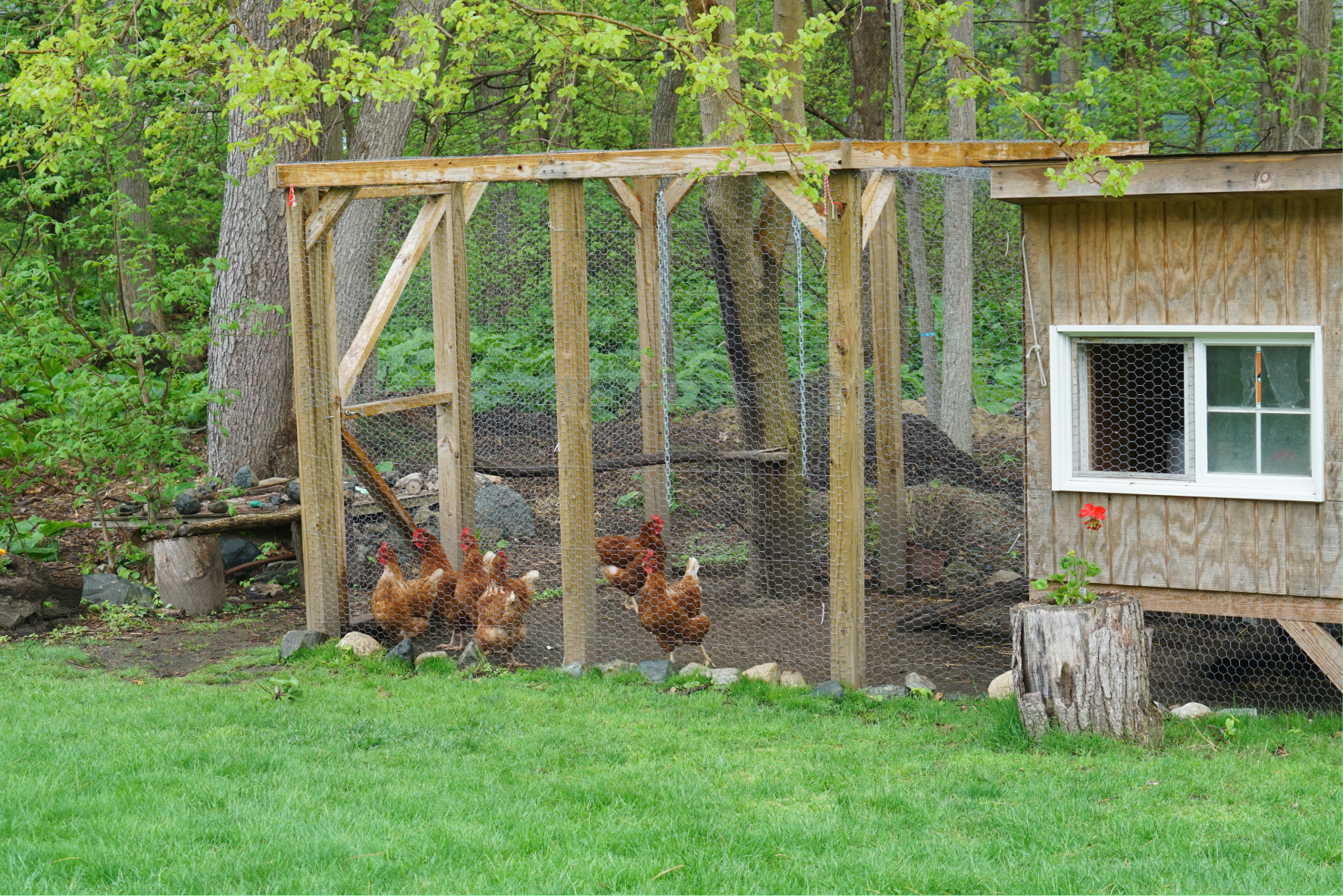 Unit 227 Assist with the preparation and maintenance of animal accommodation