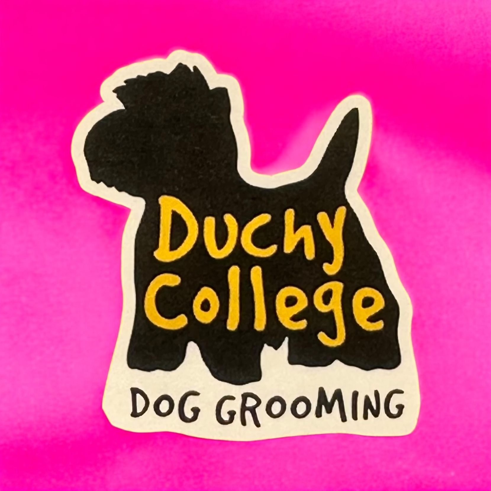 Certificate for Dog Grooming Assistants
